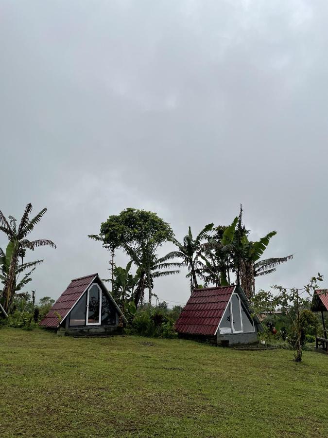 Bugo Camp Glamping & Natural Activity Munduk Exterior foto